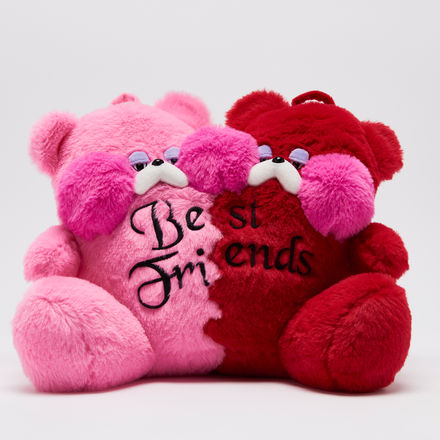 PREORDER: Pink Best Friends Locket Snoozle