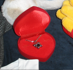 Signature Snoozle Necklace