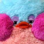 Aquamarine Penguin Snoozle
